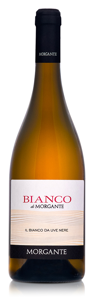 Bianco di Morgante 2023