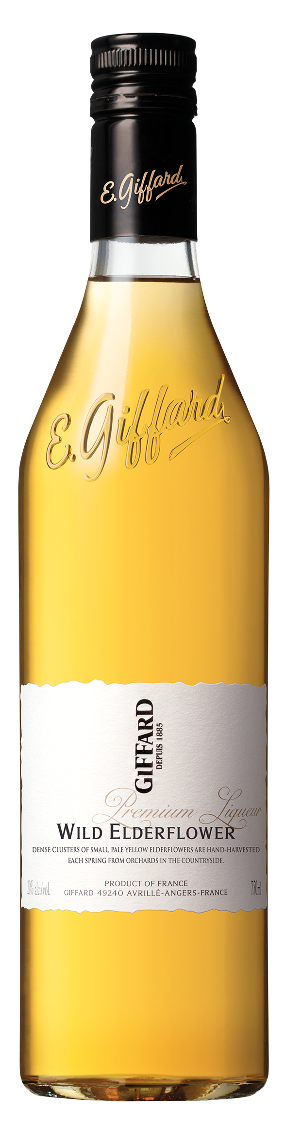 Giffard Wild Elderflower Premium Liqueur